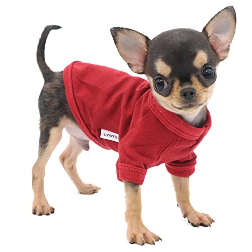 LOPHIPETS Hunde-T-Shirt aus 100 % Baumwolle, für kleine Hunde, Teetasse, Chihuahua, Yorkie, Welpenkleidung, Rot/XS von LOPHIPETS