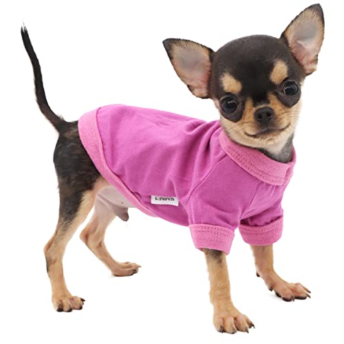 LOPHIPETS Hunde-T-Shirt aus 100 % Baumwolle, für kleine Hunde, Teetasse, Chihuahua, Yorkie, Welpenkleidung, Violett/XS von LOPHIPETS