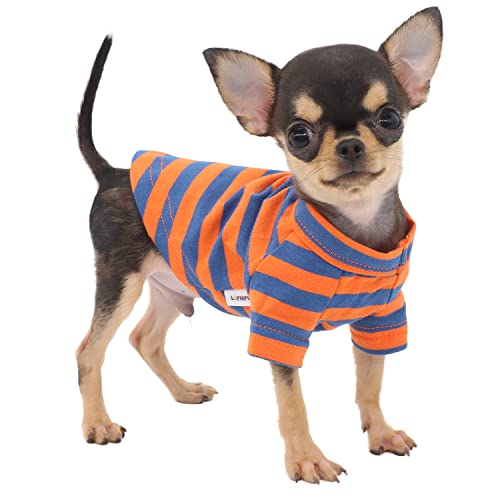 LOPHIPETS Hunde-T-Shirt aus 100 % Baumwolle, gestreift, für kleine Hunde, Teetasse, Chihuahua, Yorkie, Welpen, Kleidung, Tank-T-Shirt, Orange und Blau gestreift, Größe XXS von LOPHIPETS
