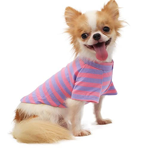 LOPHIPETS Hunde-T-Shirt aus 100 % atmungsaktiver Baumwolle, gestreift, für kleine Hunde, Teetasse, Chihuahua, Yorkie, Welpen, Kleidung – lila und rosa Streifen/S von LOPHIPETS