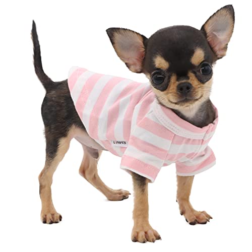 LOPHIPETS Hunde-T-Shirt für kleine Hunde, 100 % atmungsaktive Baumwolle, gestreift, Teetasse, Chihuahua, Yorkie, Welpen, Kleidung, Rosa und Weiß, gestreift, Größe XXS LOPHIPETS Hunde-T-Shirt für kleine Hunde, 100 % atmungsaktive Baumwolle, gestreift, Teetasse, Chihuahua, Yorkie, Welpen, Kleidung, Rosa und Weiß, gestreift, Größe XXS von LOPHIPETS