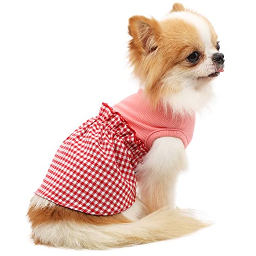 LOPHIPETS Hundekleid für kleine Hunde, Mädchen, Teetasse, Chihuahua, Yorkie, Welpen, Katzenkleidung, Rot und Weiß, kariert, S von LOPHIPETS