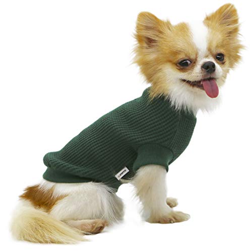 LOPHIPETS Hundepullover für Welpen, kleine Hunde, Chihuahua, Yorkie, für kaltes Wetter, Atrovirens/L von LOPHIPETS