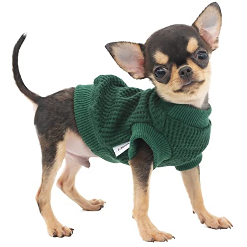 LOPHIPETS Hundepullover für Welpen, kleine Hunde, Chihuahua, Yorkie, für kaltes Wetter, Atrovirens/XXS von LOPHIPETS