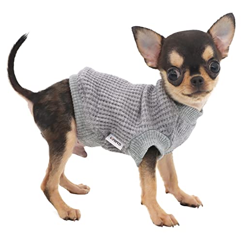 LOPHIPETS Hundepullover für Welpen, kleine Hunde, Welpen, Chihuahua, Yorkie, für kaltes Wetter, Grau, XXS von LOPHIPETS