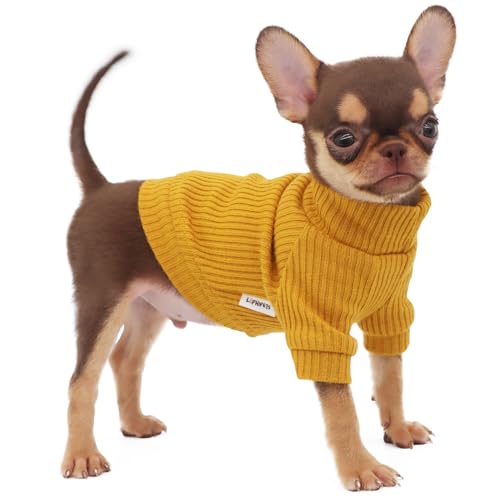 LOPHIPETS Rollkragenpullover für kleine Hunde, für Chihuahua, Yorkie, Welpen, Katzen, Gelb, Größe XS von LOPHIPETS