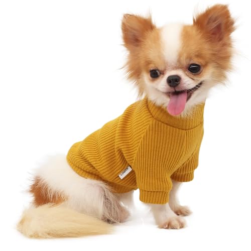 LOPHIPETS Rollkragenpullover für kleine Hunde für Chihuahua, Größe M, Gelb von LOPHIPETS
