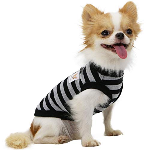 Lophipets Hunde-Shirt, 100% Baumwolle, gestreift, für kleine Hunde, Chihuahua, Welpen, Schwarz und Grau gestreift von LOPHIPETS