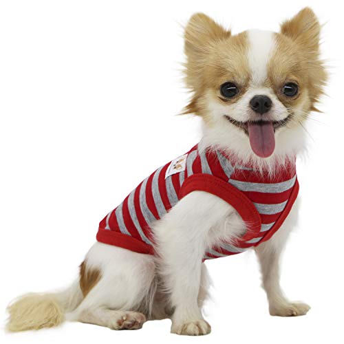 Lophipets Hunde-Shirt für Chihuahuas, 100% Baumwolle, gestreift, X-Large, Rote und graue Streifen Lophipets Hunde-Shirt für Chihuahuas, 100% Baumwolle, gestreift, X-Large, Rote und graue Streifen von LOPHIPETS