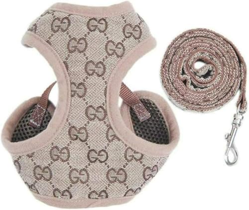Hundegeschirr und Leine, Adjustable Bands, Breathable Chest Harness with Soft Padding and Ventilation Net for Small Dogs Running, Hiking & Training (B,XS) von LOPUCK