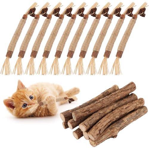 LOPYXBR 20 Stück Katzenminze Sticks, Katzen Zahnpflege Sticks Matatabi Stick Katze, Katzenminze Spielzeug Matatabi Kausticks zur Zahnpflege bei Katzen und zur Vorbeugung von Mundgeruch von LOPYXBR