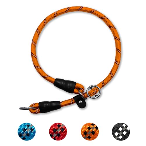 Hundehalsband mit Zugstopper, Dressurhalsung, Nylon Retrieverhalsband Reflektierend Verstellbare Hunde Halsband für kleine und mittelgroße Hunde Training, Breite 0.8 cm, Max Halsumfang 40 cm Hundehalsband mit Zugstopper, Dressurhalsung, Nylon Retrieverhalsband Reflektierend Verstellbare Hunde Halsband für kleine und mittelgroße Hunde Training, Breite 0.8 cm, Max Halsumfang 40 cm von LOS ANDES