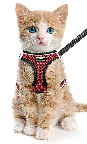 LOS ANDES Katzengeschirr mit Leine, Geschirr ausbruchsicher für Katze Verstellbar Brustgeschirr Cat Harness Reflektierend, Katzenleine mit Geschirr für Katzen,Welpen von LOS ANDES