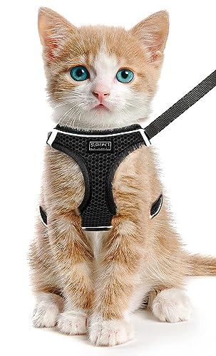 LOS ANDES Katzengeschirr mit Leine, Geschirr ausbruchsicher für Katze Verstellbar Brustgeschirr Cat Harness Reflektierend, Katzenleine mit Geschirr für Katzen,Welpen von LOS ANDES