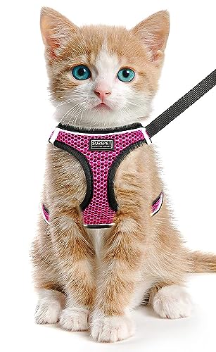 LOS ANDES Katzengeschirr mit Leine, Geschirr ausbruchsicher für Katze Verstellbar Brustgeschirr Cat Harness Reflektierend, Katzenleine mit Geschirr für Katzen,Welpen LOS ANDES Katzengeschirr mit Leine, Geschirr ausbruchsicher für Katze Verstellbar Brustgeschirr Cat Harness Reflektierend, Katzenleine mit Geschirr für Katzen,Welpen von LOS ANDES