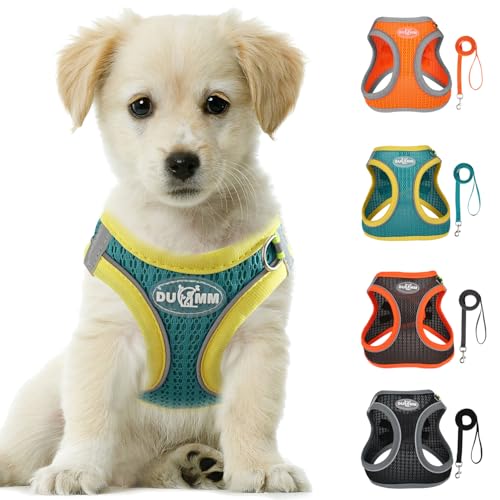 LOS ANDES Hundegeschirr Kleine Hunde, Brustgeschirr mit Leine, Reflektierend Weich Gepolstert Katzengeschirr, Air-Mesh Hunde Geschirr für Welpen Kleine Hunde Katzen LOS ANDES Hundegeschirr Kleine Hunde, Brustgeschirr mit Leine, Reflektierend Weich Gepolstert Katzengeschirr, Air-Mesh Hunde Geschirr für Welpen Kleine Hunde Katzen von LOS ANDES