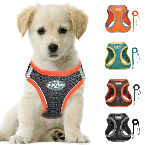 LOS ANDES Hundegeschirr Kleine Hunde, Brustgeschirr mit Leine, Reflektierend Weich Gepolstert Katzengeschirr, Air-Mesh Hunde Geschirr für Welpen Kleine Hunde Katzen LOS ANDES Hundegeschirr Kleine Hunde, Brustgeschirr mit Leine, Reflektierend Weich Gepolstert Katzengeschirr, Air-Mesh Hunde Geschirr für Welpen Kleine Hunde Katzen von LOS ANDES
