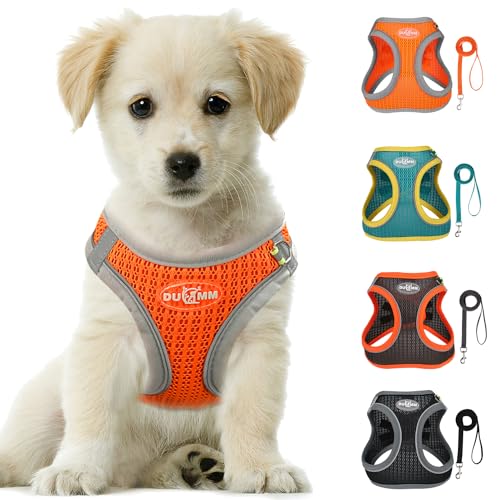 LOS ANDES Hundegeschirr Kleine Hunde, Brustgeschirr mit Leine, Reflektierend Weich Gepolstert Katzengeschirr, Air-Mesh Hunde Geschirr für Welpen Kleine Hunde Katzen LOS ANDES Hundegeschirr Kleine Hunde, Brustgeschirr mit Leine, Reflektierend Weich Gepolstert Katzengeschirr, Air-Mesh Hunde Geschirr für Welpen Kleine Hunde Katzen von LOS ANDES