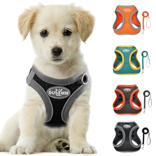 LOS ANDES Hundegeschirr Kleine Hunde, Brustgeschirr mit Leine, Reflektierend Weich Gepolstert Katzengeschirr, Air-Mesh Hunde Geschirr für Welpen Kleine Hunde Katzen LOS ANDES Hundegeschirr Kleine Hunde, Brustgeschirr mit Leine, Reflektierend Weich Gepolstert Katzengeschirr, Air-Mesh Hunde Geschirr für Welpen Kleine Hunde Katzen von LOS ANDES