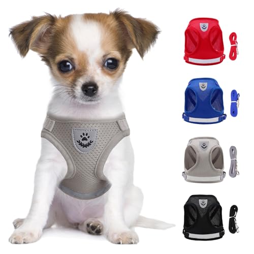 LOS ANDES Hundegeschirr Kleine Hunde, Katzengeschirr mit Leine, Reflektierend Weich Gepolstert Hunde Geschirr, Air-Mesh Brustgeschirr für Welpen Kleine Hunde Katzen LOS ANDES Hundegeschirr Kleine Hunde, Katzengeschirr mit Leine, Reflektierend Weich Gepolstert Hunde Geschirr, Air-Mesh Brustgeschirr für Welpen Kleine Hunde Katzen von LOS ANDES