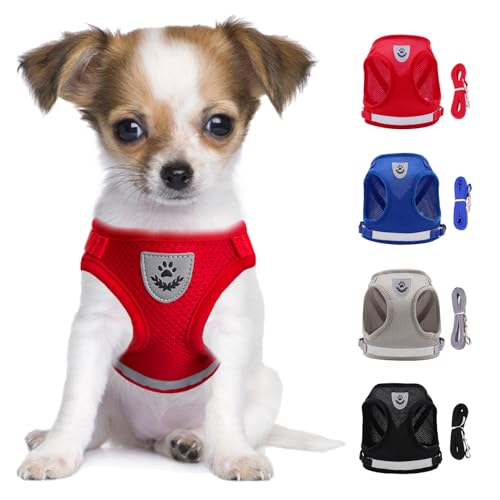LOS ANDES Hundegeschirr Kleine Hunde, Katzengeschirr mit Leine, Reflektierend Weich Gepolstert Hunde Geschirr, Air-Mesh Brustgeschirr für Welpen Kleine Hunde Katzen LOS ANDES Hundegeschirr Kleine Hunde, Katzengeschirr mit Leine, Reflektierend Weich Gepolstert Hunde Geschirr, Air-Mesh Brustgeschirr für Welpen Kleine Hunde Katzen von LOS ANDES
