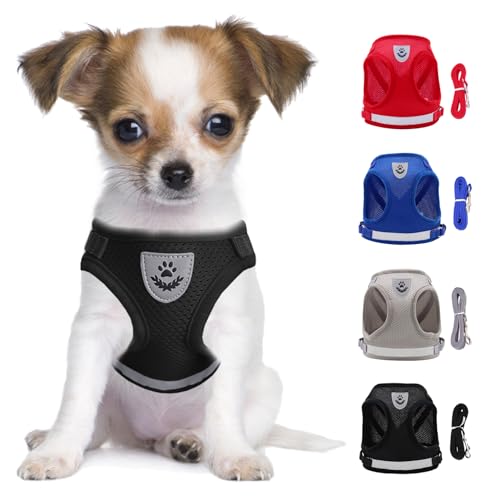 LOS ANDES Hundegeschirr Kleine Hunde, Katzengeschirr mit Leine, Reflektierend Weich Gepolstert Hunde Geschirr, Air-Mesh Brustgeschirr für Welpen Kleine Hunde Katzen LOS ANDES Hundegeschirr Kleine Hunde, Katzengeschirr mit Leine, Reflektierend Weich Gepolstert Hunde Geschirr, Air-Mesh Brustgeschirr für Welpen Kleine Hunde Katzen von LOS ANDES