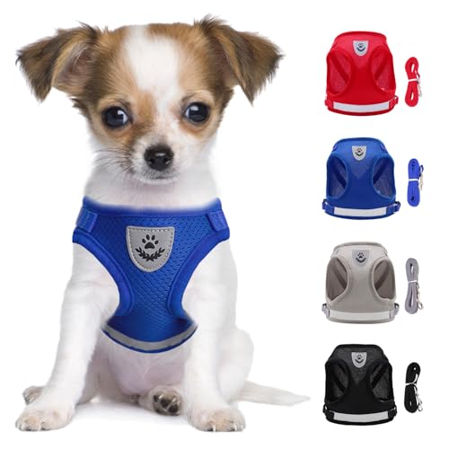 LOS ANDES Hundegeschirr Kleine Hunde, Katzengeschirr mit Leine, Reflektierend Weich Gepolstert Hunde Geschirr, Air-Mesh Brustgeschirr für Welpen Kleine Hunde Katzen LOS ANDES Hundegeschirr Kleine Hunde, Katzengeschirr mit Leine, Reflektierend Weich Gepolstert Hunde Geschirr, Air-Mesh Brustgeschirr für Welpen Kleine Hunde Katzen von LOS ANDES