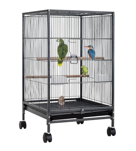 Vogelkäfig Vogelvoliere Schmiedeeiserner Vogelkäfig Mit Offener Spielfläche Und Rollständer, 88,9 cm Großer Papageienkäfig, Vogelkäfige Für Lovebird-Papageien Vogelbauer Vogelhaus Vogelkäfig Vogelvoliere Schmiedeeiserner Vogelkäfig Mit Offener Spielfläche Und Rollständer, 88,9 cm Großer Papageienkäfig, Vogelkäfige Für Lovebird-Papageien Vogelbauer Vogelhaus von LOSTIS
