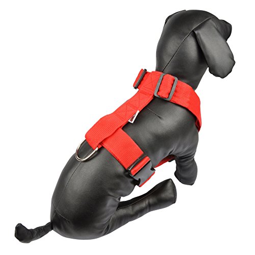 LOVE STORY AMI Confort 6ANI344RO Hundegeschirr, verstellbar, 70-90 x 4 cm LOVE STORY AMI Confort 6ANI344RO Hundegeschirr, verstellbar, 70-90 x 4 cm von LOVE STORY