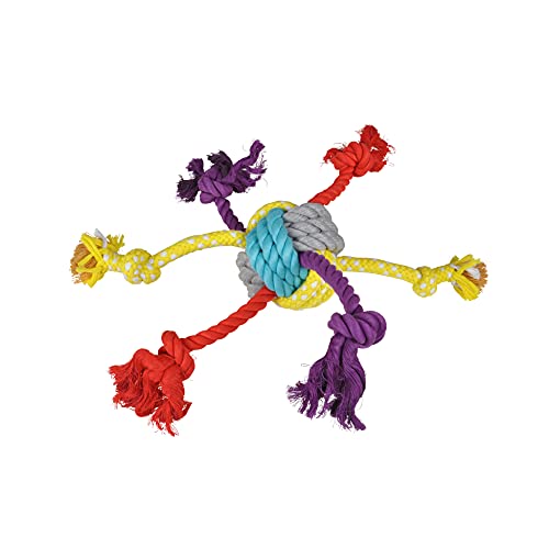 LOVE STORY Les Costauds Hundespielzeug, 6 Knoten, Größe M, 44 cm, Mehrfarbig LOVE STORY Les Costauds Hundespielzeug, 6 Knoten, Größe M, 44 cm, Mehrfarbig von LOVE STORY