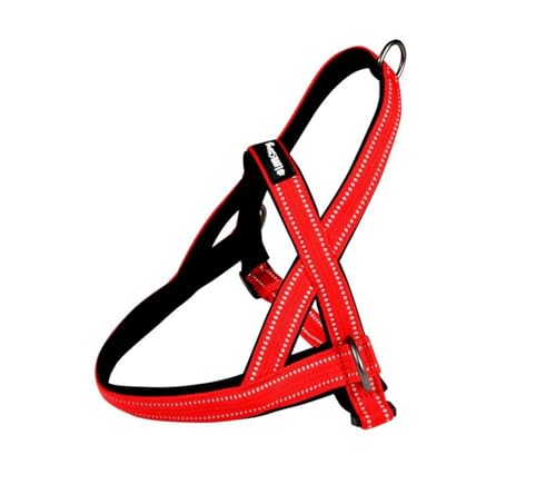 Geschirr Norweger, Komfort, Nylon und Neopren, verstellbar, Größe S 55 bis 65 cm, Rot Geschirr Norweger, Komfort, Nylon und Neopren, verstellbar, Größe S 55 bis 65 cm, Rot von LOVE STORY