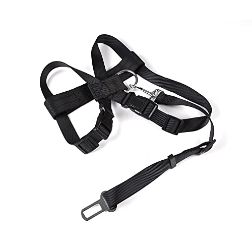 Sicherheitsgurt für Auto, Polyester, Größe L, 70 cm x 3 cm, Schwarz Sicherheitsgurt für Auto, Polyester, Größe L, 70 cm x 3 cm, Schwarz von LOVE STORY