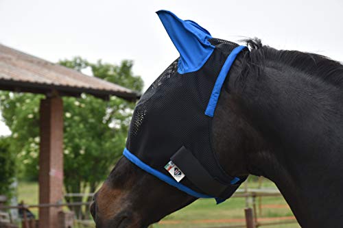 LOVEHORSES Fliegenschutz fürs Pferd – Made in Italy - Netz Standard 100 by Oeko-TEX® Zertifiziert - Widerstandsfähig – Farbige Ohren (MEDIUM/COB, Blue Royal) von LOVEHORSES