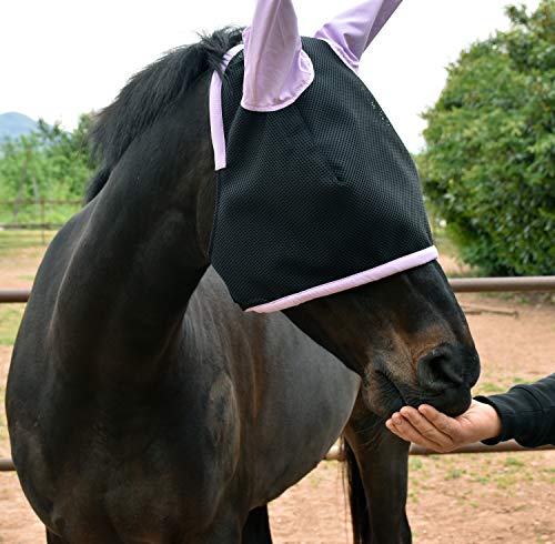 LOVEHORSES Fliegenschutz fürs Pferd – Made in Italy - Netz Standard 100 by Oeko-TEX® Zertifiziert - Widerstandsfähig – Farbige Ohren (Large/Full, Lilla) von LOVEHORSES