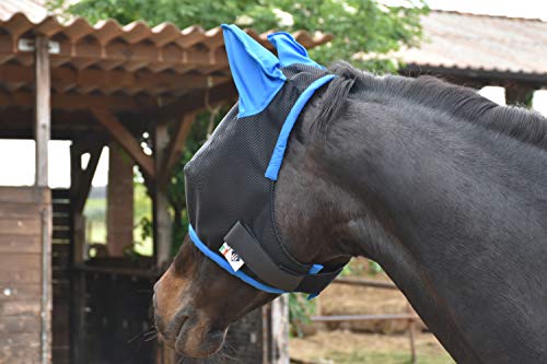 LOVEHORSES Fliegenschutz fürs Pferd – Made in Italy - Netz Standard 100 by Oeko-TEX® Zertifiziert - Widerstandsfähig – Farbige Ohren (XLarge/XFULL, Blue Royal) von LOVEHORSES