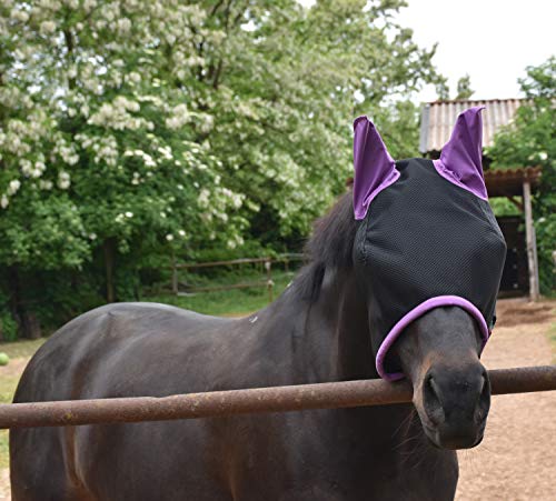 LOVEHORSES Fliegenschutz fürs Pferd – Made in Italy - Netz Standard 100 by Oeko-TEX® Zertifiziert - Widerstandsfähig – Farbige Ohren (XLarge/XFULL, Violett) von LOVEHORSES