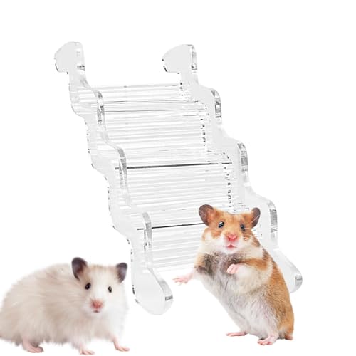 Hamsterleiter, Kletterspielzeug für Hamster, Spielplatz für Hamster aus transparentem Acryl | Hamsterhausbegleiter, Rampe für Kleintiere, Mäusespielzeug, C-Zubehör von LOVEMETOO