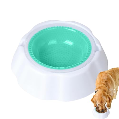 Kühlschüssel für Haustiere, Kühlschale für Haustiere, Cool Pup – Kaltwasserschale für Hunde | Kühlzubehör für Haustiere, ma Kühlschüssel für Haustiere, Kühlschale für Haustiere, Cool Pup – Kaltwasserschale für Hunde | Kühlzubehör für Haustiere, ma von LOVEMETOO