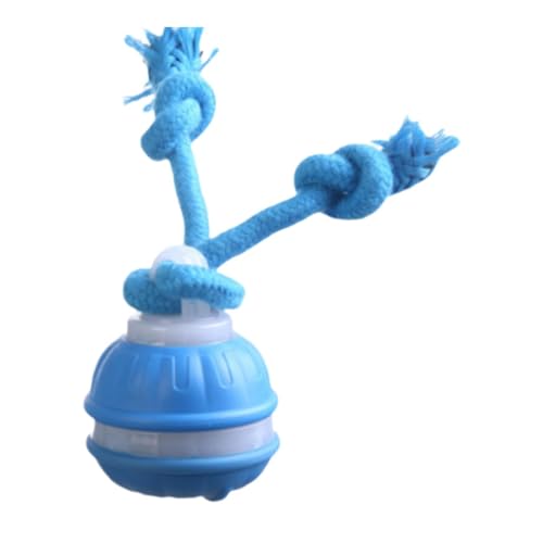LOVIVER Cat Interactive Toy Ball Dogs Übung Leicht witziger tragbarer Smart Tails Rolling Ball Cat -Teaser für Kätzchen Kitty, Blau LOVIVER Cat Interactive Toy Ball Dogs Übung Leicht witziger tragbarer Smart Tails Rolling Ball Cat -Teaser für Kätzchen Kitty, Blau von LOVIVER