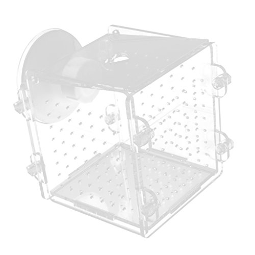 Fischzucht Isolation Hanging Aquarium Zubehör Inkubator Box Tank Breeder, Loch - Typ von LOVIVER