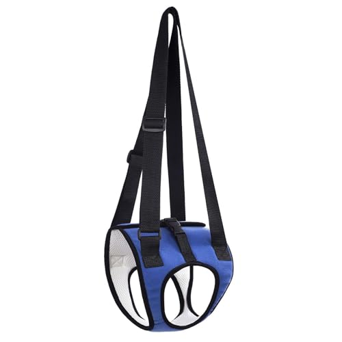 LOVIVER Hilfsgurt zum Tragen und Spazierengehen von Hunden, Hilfsgurt zum Spazierengehen von Hunden für mittelgroße Hunde, Haustiergeschirr zur Unterstützung, Blau, m LOVIVER Hilfsgurt zum Tragen und Spazierengehen von Hunden, Hilfsgurt zum Spazierengehen von Hunden für mittelgroße Hunde, Haustiergeschirr zur Unterstützung, Blau, m von LOVIVER