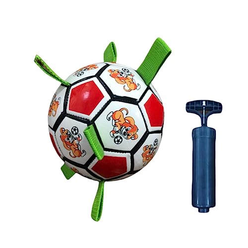 LOVIVER Hunde-Fußball, interaktives Spielzeug für Tauziehen, Welpen-Geburtstagsgeschenke, Hunde-Wasserspielzeug, langlebig für kleine und mittelgroße Hunde, Rot von LOVIVER