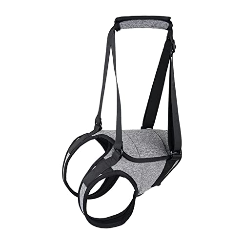 LOVIVER Hundelift-Stützgeschirr, Hilfsgurt für Hinterbeine Pet Lifting Support Vest Wear Resistant Portable Senior Canine Aid, S von LOVIVER