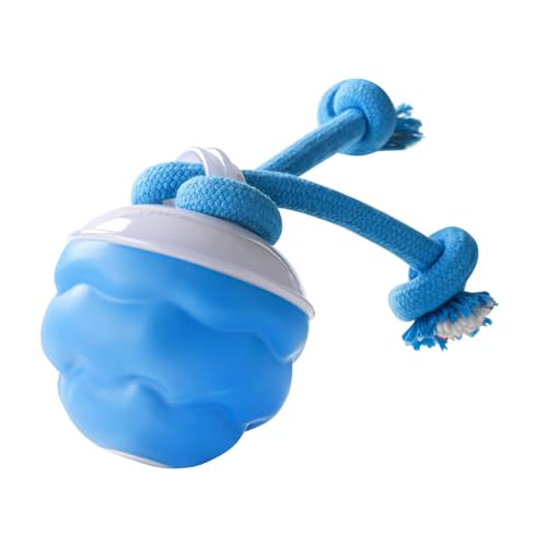 LOVIVER Interaktive Ballhunde Spielzeug, fangen Spielzeug, automatischer Rollkugel - -resistenter Mehrzweckprall -Rolling -Ball mit Licht LOVIVER Interaktive Ballhunde Spielzeug, fangen Spielzeug, automatischer Rollkugel - -resistenter Mehrzweckprall -Rolling -Ball mit Licht von LOVIVER