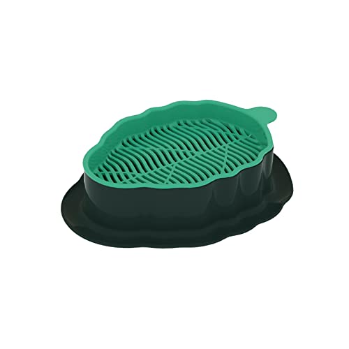 LOVIVER Katzen Grassprosser Tablett, Keimbehälter, Langlebig, Bodenfrei, Startpflanzen Wachstumstabletts, Hydroponische Katzenbox für Hausgartengemüse, Grün LOVIVER Katzen Grassprosser Tablett, Keimbehälter, Langlebig, Bodenfrei, Startpflanzen Wachstumstabletts, Hydroponische Katzenbox für Hausgartengemüse, Grün von LOVIVER