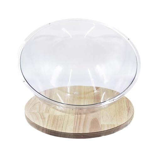 LOVIVER Katzenbett in Raumkapsel-Form, Schlafnest, Aktivitätszentrum aus Acryl, leicht zu reinigen, universelle Nest-Hängematte für Kätzchen, Vier, 30CM LOVIVER Katzenbett in Raumkapsel-Form, Schlafnest, Aktivitätszentrum aus Acryl, leicht zu reinigen, universelle Nest-Hängematte für Kätzchen, Vier, 30CM von LOVIVER