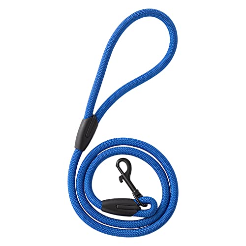 LOVIVER Langlebige Schlupfleine, Tagespflege, Nylonschnur, bequemer Karabinerhaken für, Gehen, Joggen, Pflege von Welpen, Blau LOVIVER Langlebige Schlupfleine, Tagespflege, Nylonschnur, bequemer Karabinerhaken für, Gehen, Joggen, Pflege von Welpen, Blau von LOVIVER