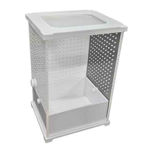 LOVIVER Reptilien-Zuchtbox, Zuchtbox, Acryl mit kleinen Lüftungsöffnungen, Eidechsen-Habitatkäfig, Brutkasten für Schildkröten, 12cmx10cmx20cm LOVIVER Reptilien-Zuchtbox, Zuchtbox, Acryl mit kleinen Lüftungsöffnungen, Eidechsen-Habitatkäfig, Brutkasten für Schildkröten, 12cmx10cmx20cm von LOVIVER