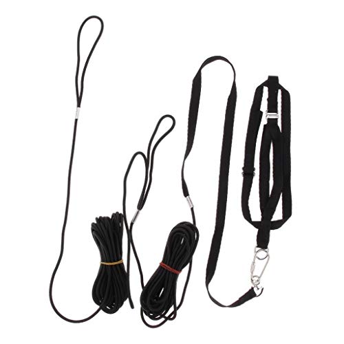 Vogel Geschirr Outdoor Einstellbare Harness Training für Papageien Graupapageien Kakadus Nymphensittiche Wellensittiche Vogel Geschirr Outdoor Einstellbare Harness Training für Papageien Graupapageien Kakadus Nymphensittiche Wellensittiche von LOVIVER