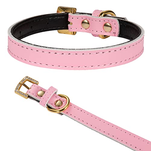 LOVPE Goldene Strass-Schnalle mit bequemem, gepolstertem Lederhalsband für Hunde und Katzen, für kleine und mittelgroße Hunde (S, Pink) von LOVPE